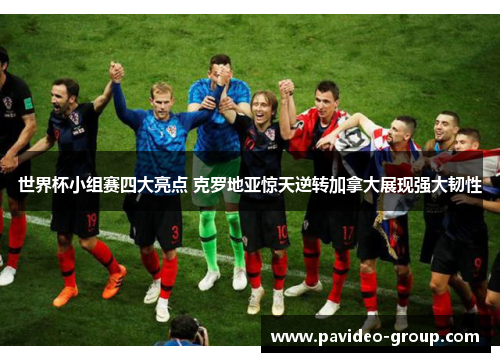 世界杯小组赛四大亮点 克罗地亚惊天逆转加拿大展现强大韧性 世界杯小组赛四大亮点 克罗地亚惊天逆转加拿大展现强大韧性