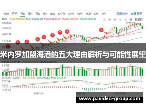 米内罗加盟海港的五大理由解析与可能性展望