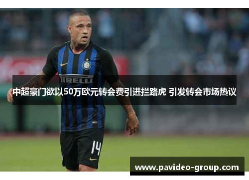中超豪门欲以50万欧元转会费引进拦路虎 引发转会市场热议 中超豪门欲以50万欧元转会费引进拦路虎 引发转会市场热议
