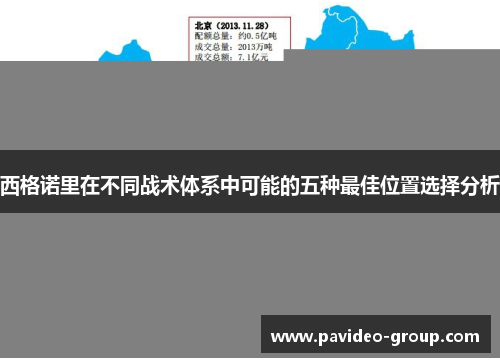 西格诺里在不同战术体系中可能的五种最佳位置选择分析 西格诺里在不同战术体系中可能的五种最佳位置选择分析