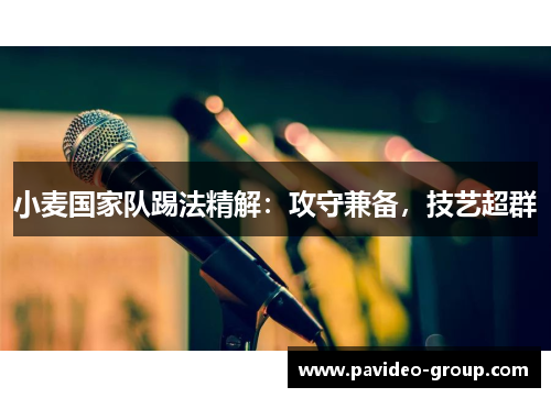 小麦国家队踢法精解:攻守兼备,技艺超群 小麦国家队踢法精解:攻守兼备,技艺超群