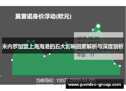 米内罗加盟上海海港的五大影响因素解析与深度剖析 米内罗加盟上海海港的五大影响因素解析与深度剖析