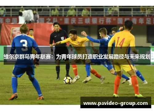 维尔京群岛青年联赛:为青年球员打造职业发展路径与未来规划 维尔京群岛青年联赛:为青年球员打造职业发展路径与未来规划